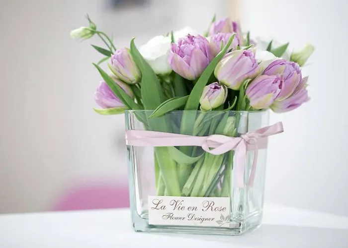 Kibilu - My - Vicinanze Stazione E Maggiore *